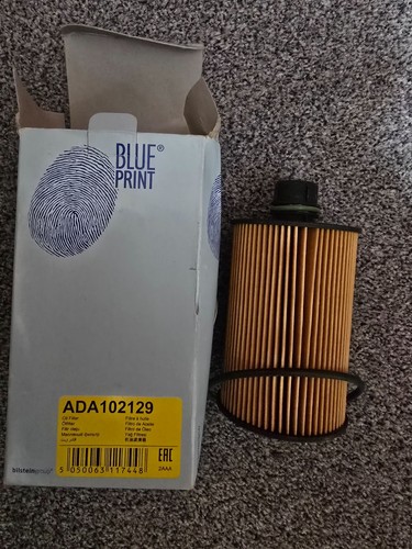 Blue print ada102129 oil - print,